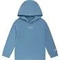 Daily7 Trui hoodie (mist blue)