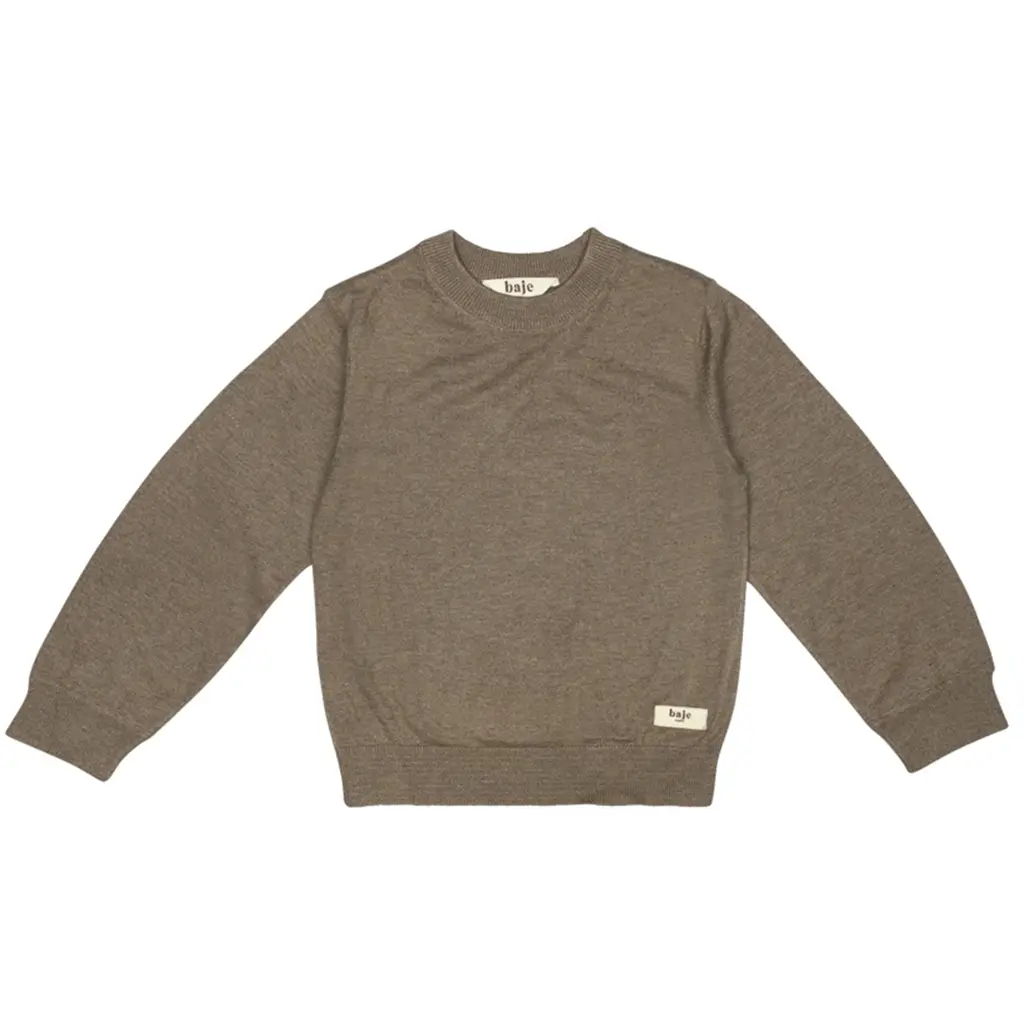 Longsleeve trui Ditton (taupe)