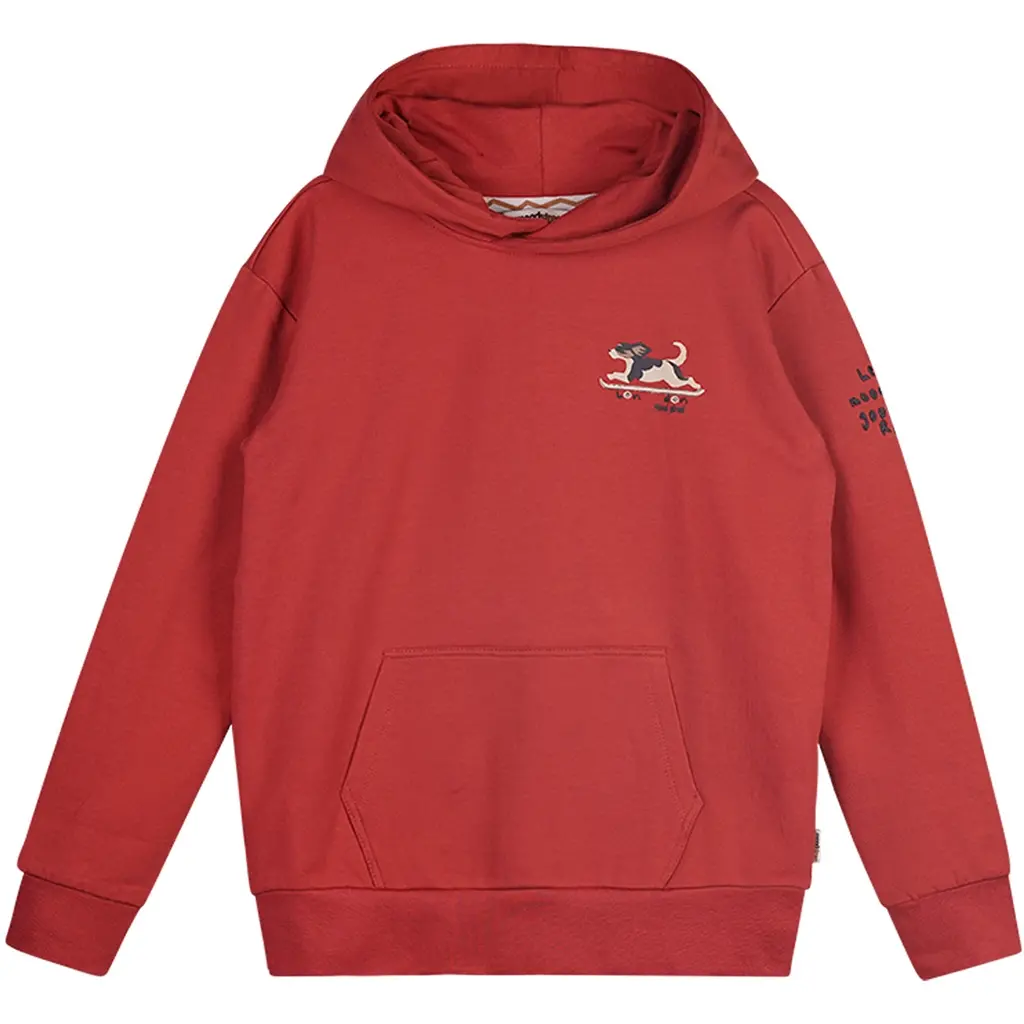 Trui hoodie Sem (burnt red)