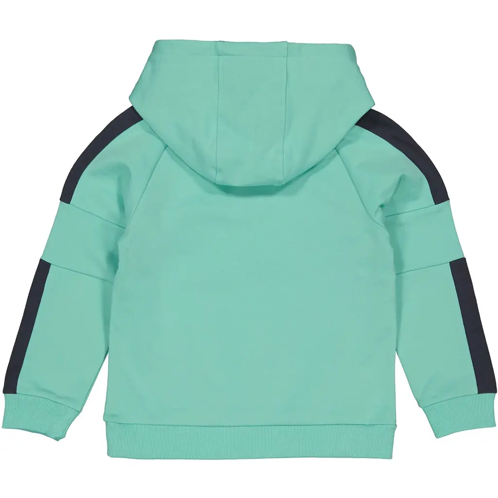 Trui hoodie Demir (seagreen)