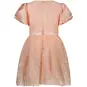 Le Chic Jurk pailletten Saleonie (rose quartz)