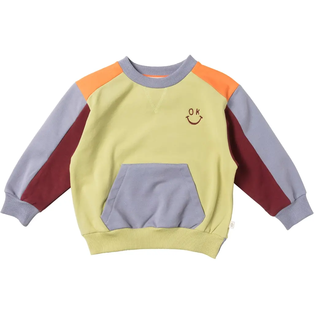 Trui | Young rebel (multicolor)