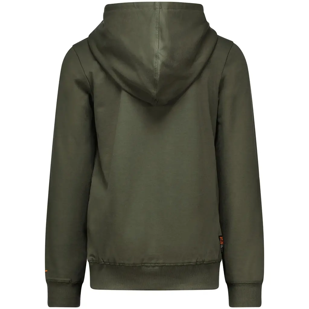 Trui hoodie Hugo (thyme)