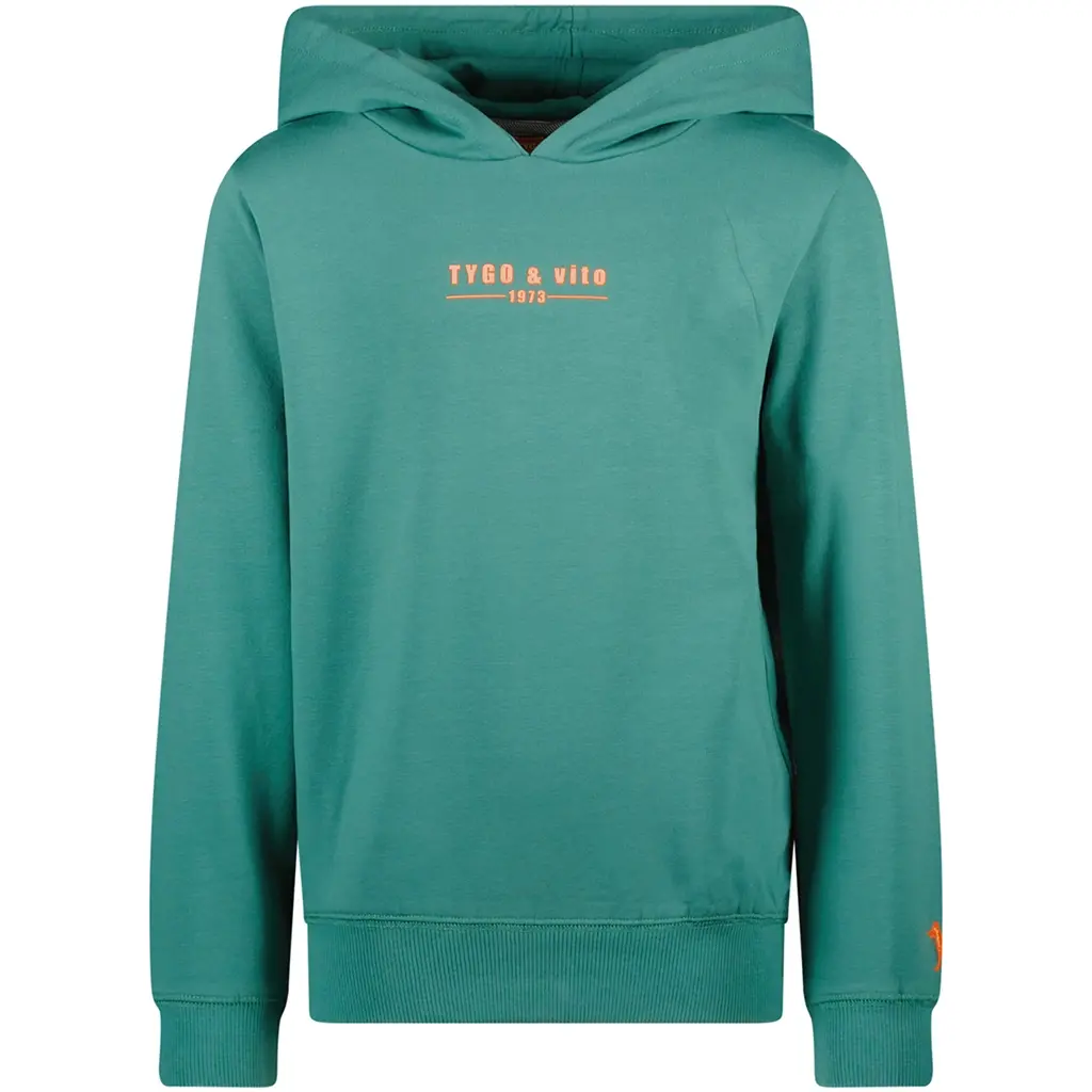 Trui hoodie Hugo (sea green)