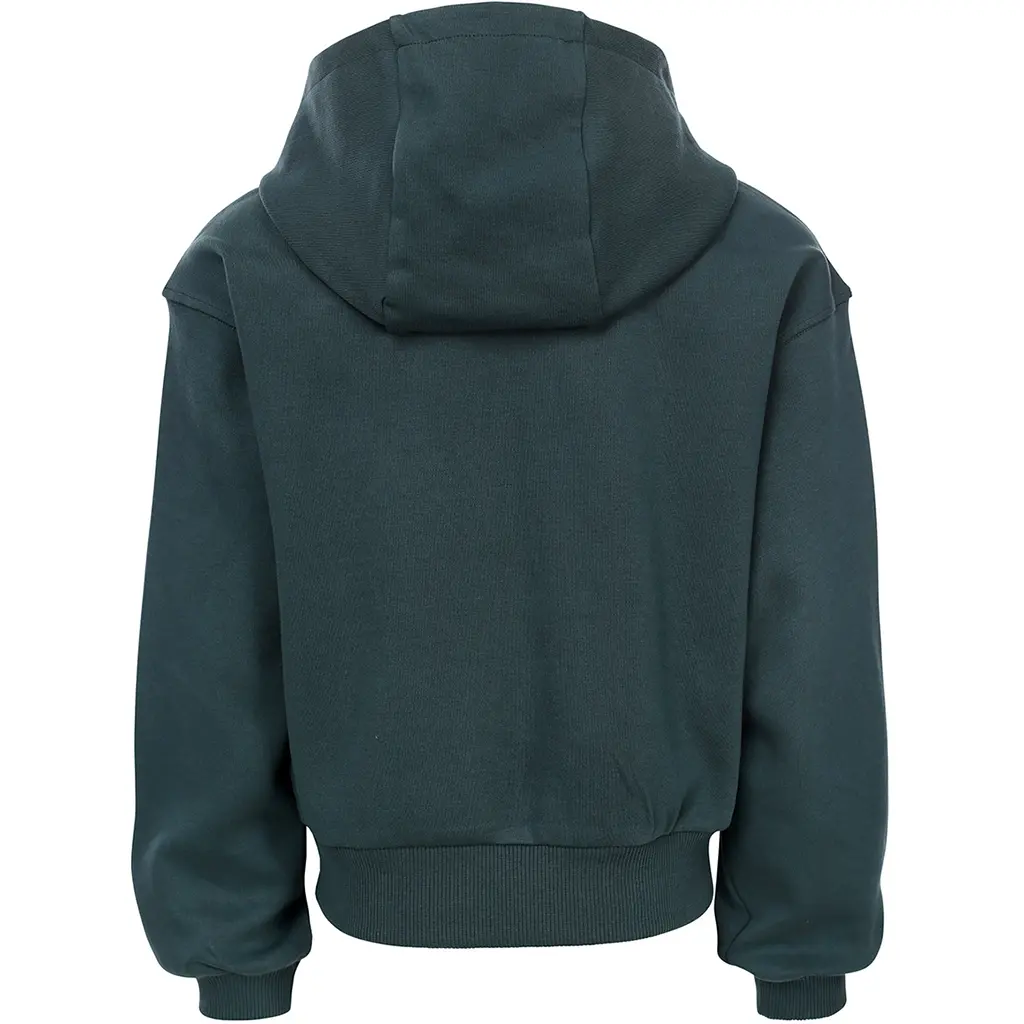 Trui hoodie (dark teal)