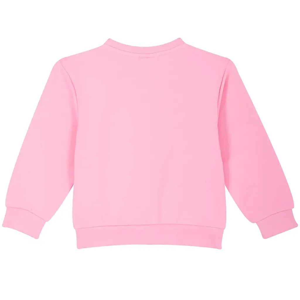 Trui Hiver (pink)