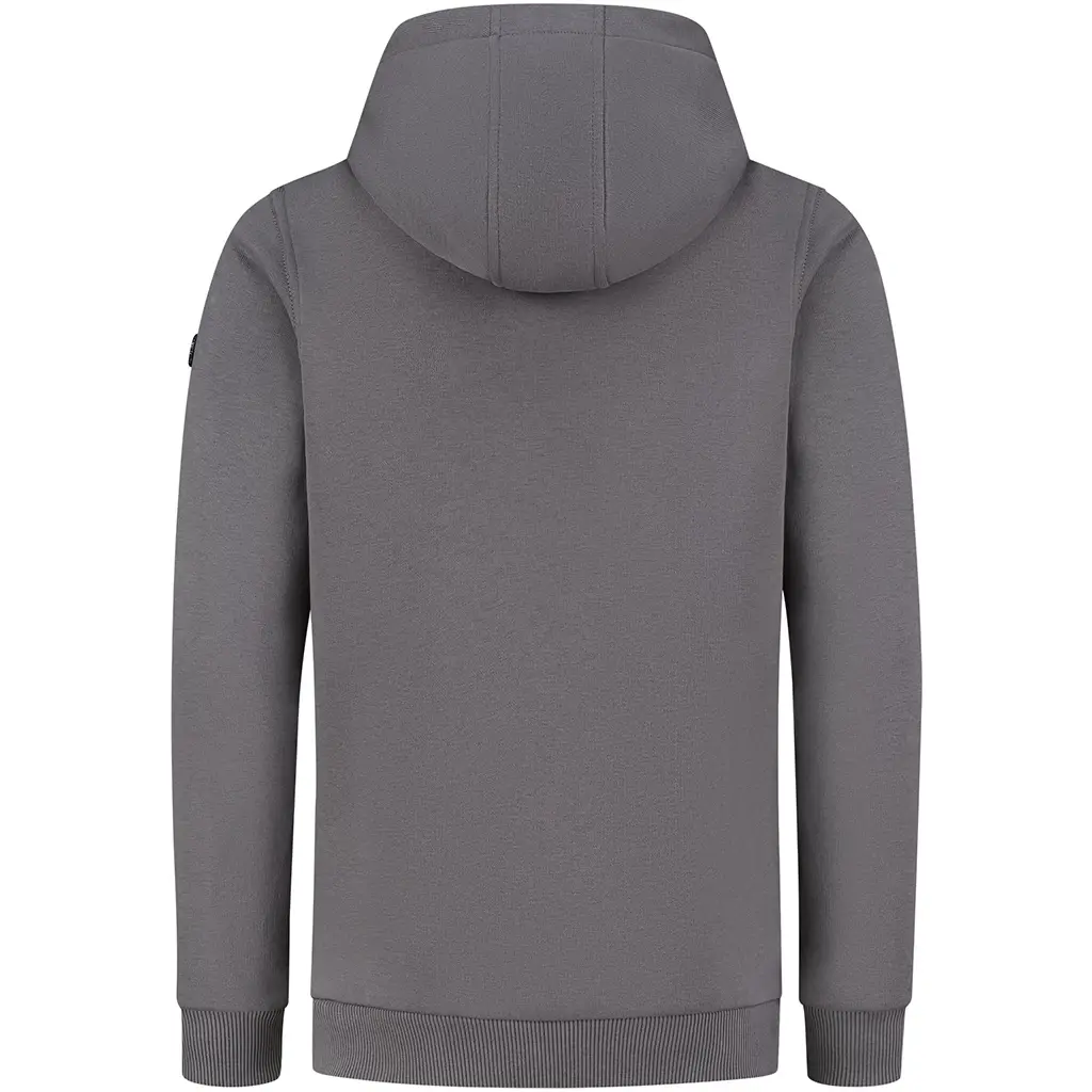 Trui hoodie slim fit (antra)