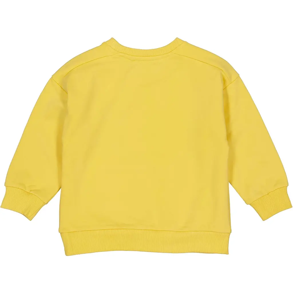 Trui Pavol (soft yellow)