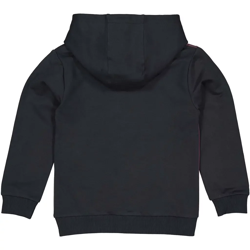 Trui hoodie Demian (black raven)