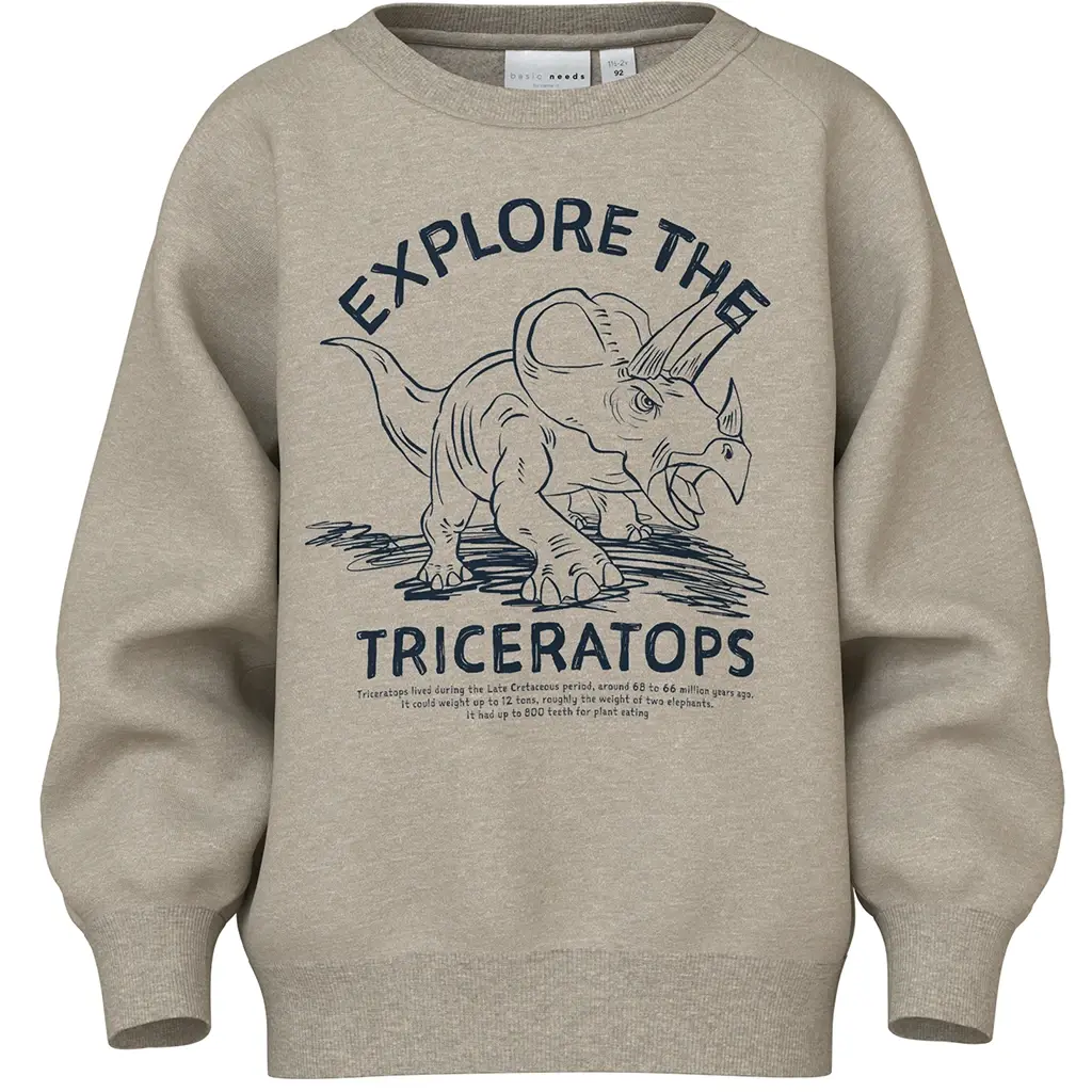 Trui Vion (pure cashmere triceratops)