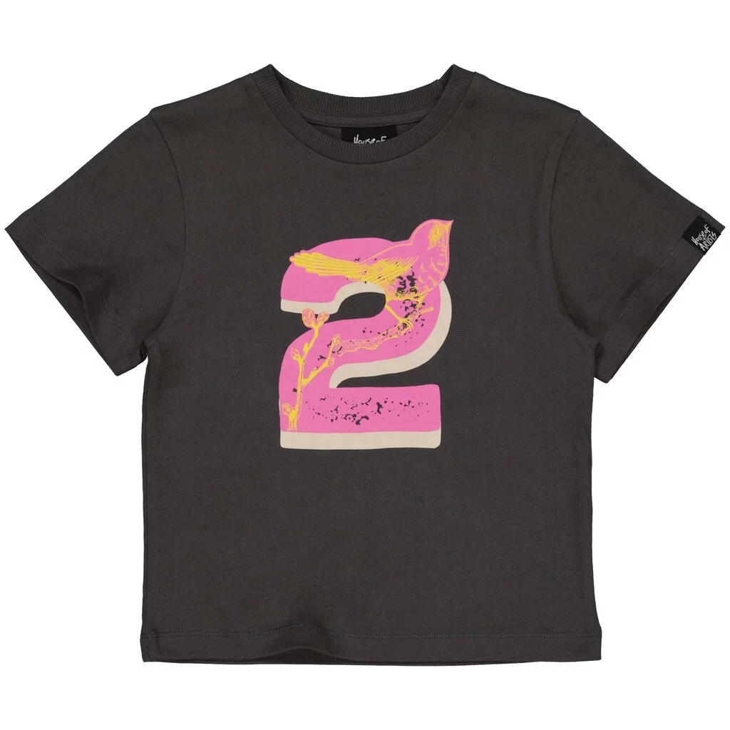 B-Day t-shirt "2" in kadoverpakking (dark grey)