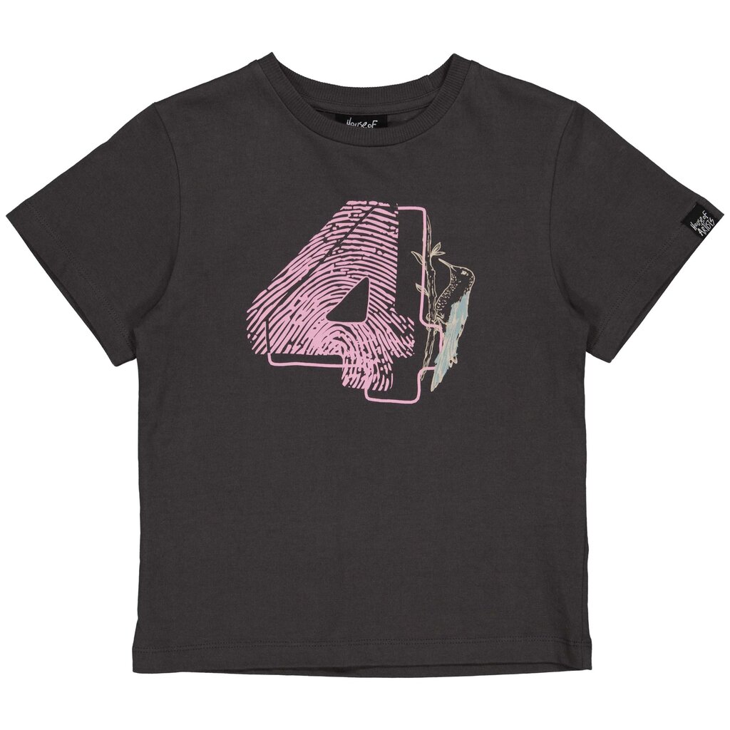 B-Day t-shirt "4" in kadoverpakking (dark grey)