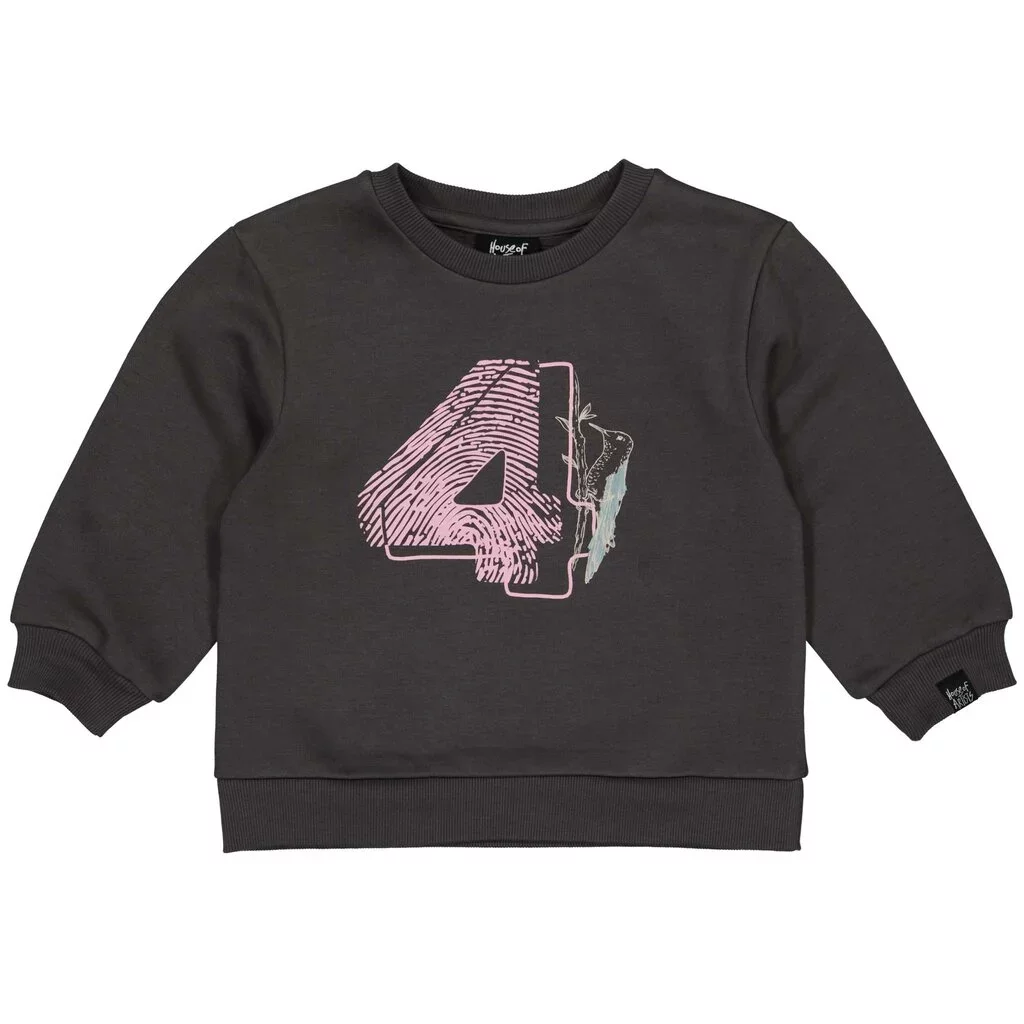 B-Day trui "4" in kadoverpakking (dark grey)