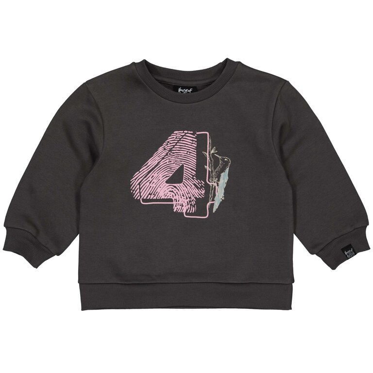 Verjaardagstrui "4" in kadoverpakking (dark grey)