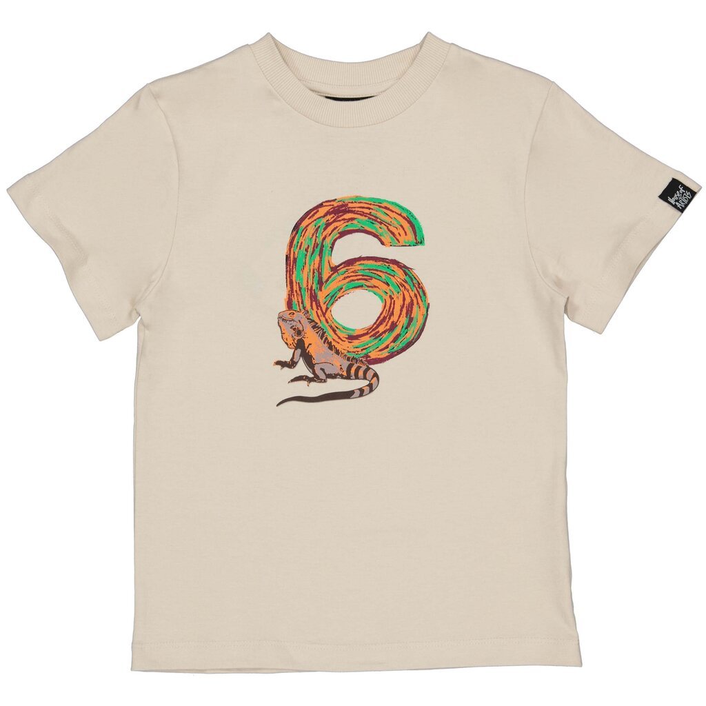 B-Day t-shirt "6" in kadoverpakking (kit)