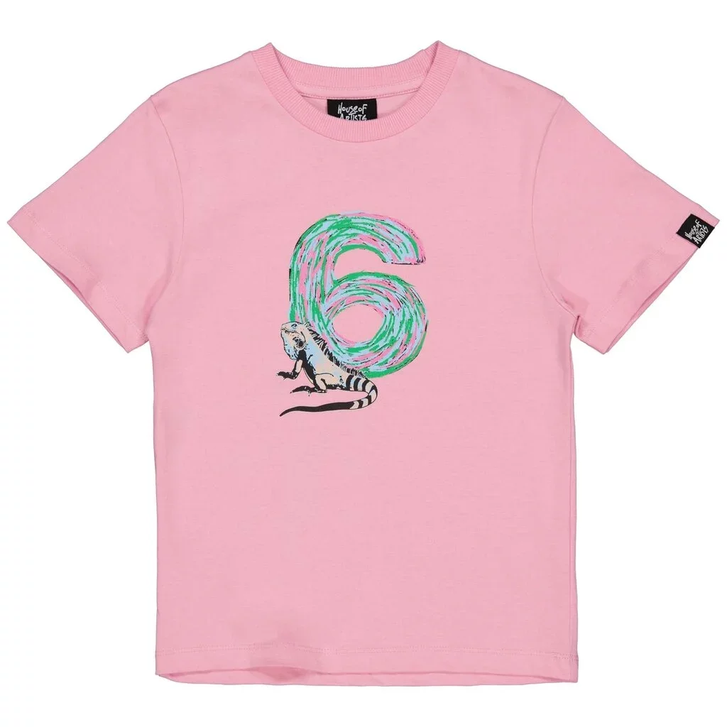 B-Day t-shirt "6" in kadoverpakking (old pink)