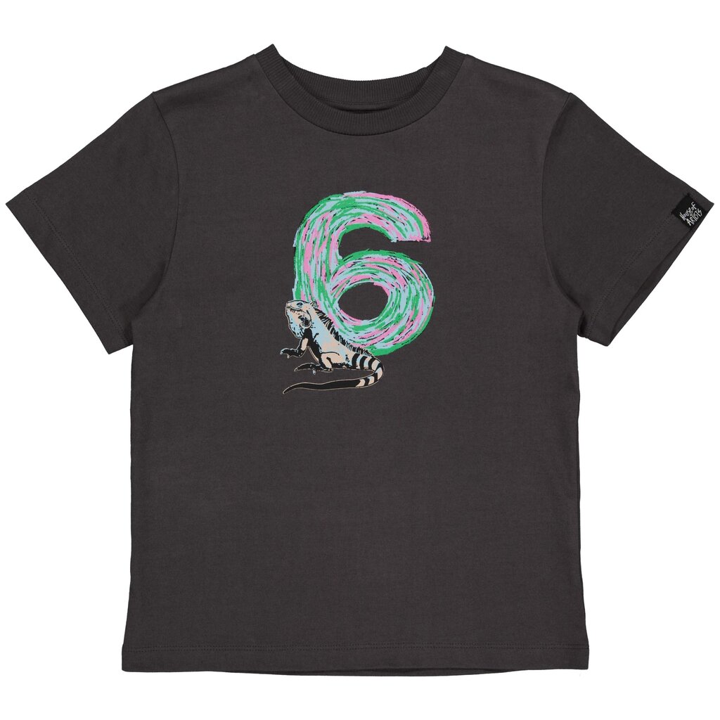 B-Day t-shirt "6" in kadoverpakking (dark grey)