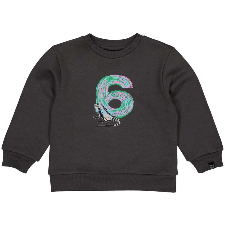 Verjaardagstrui "6" in kadoverpakking (dark grey)