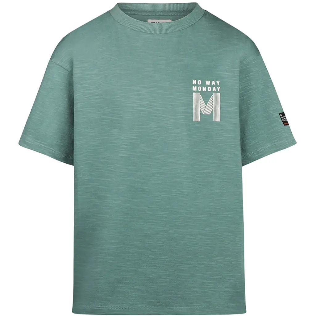 T-shirt loose fit (dusty green)