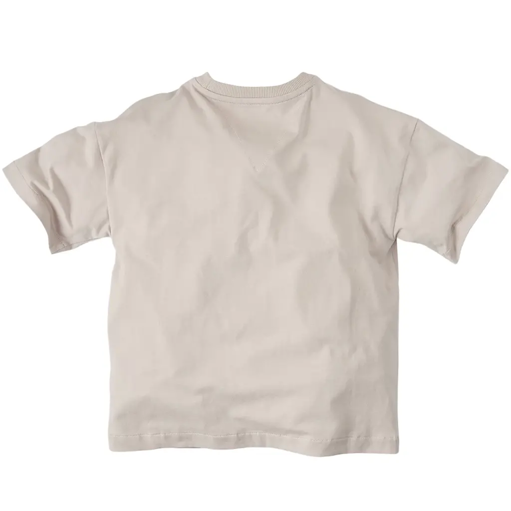 T-shirt LOOSE FIT Raff (silver shadow)