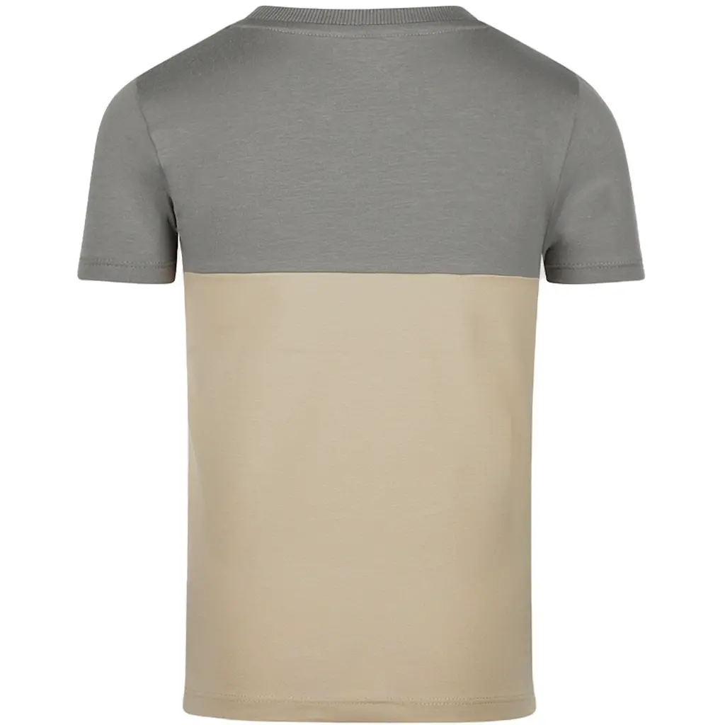 T-shirt (grey)