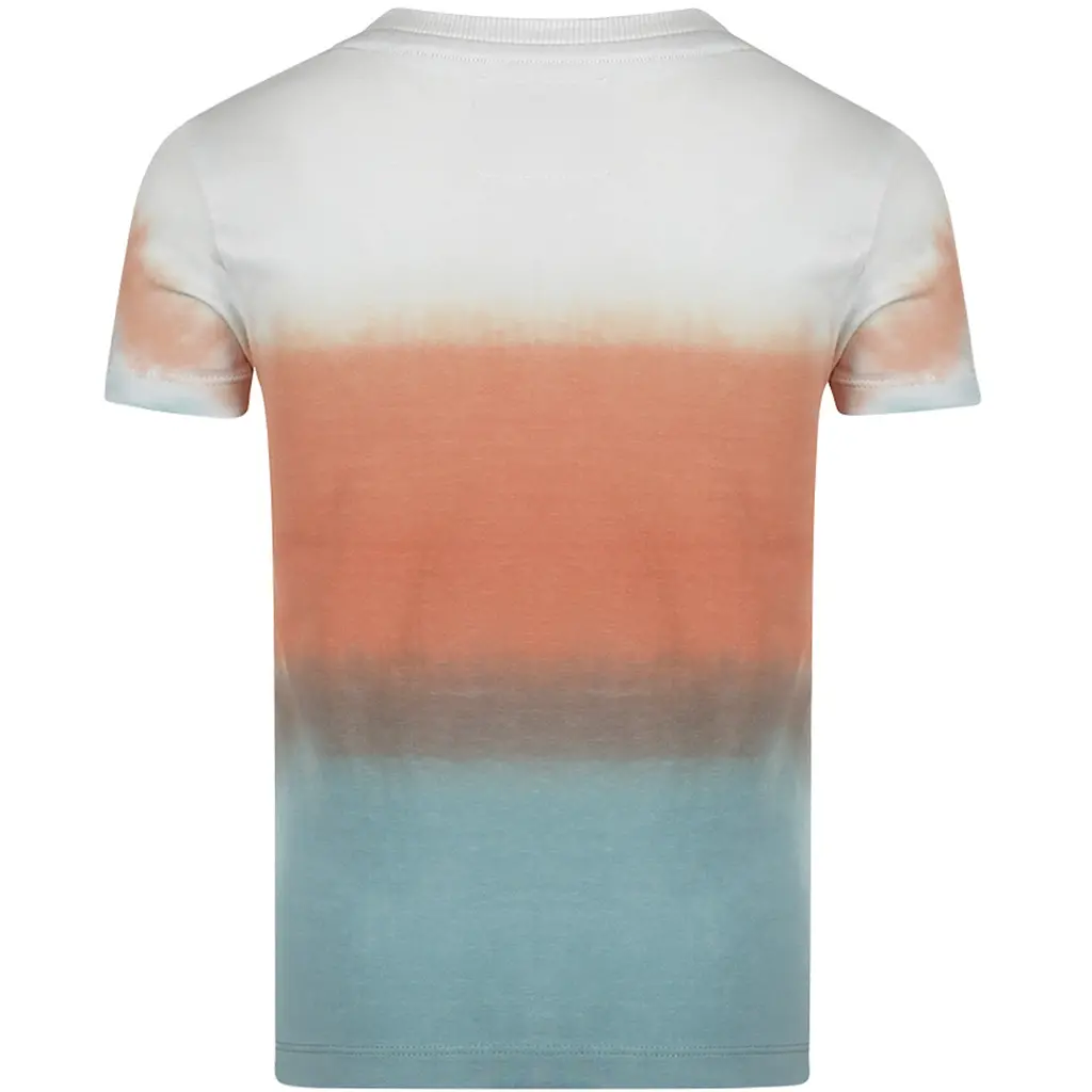 T-shirt (multi colour)