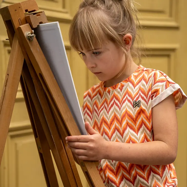 T-shirt (multi colour)