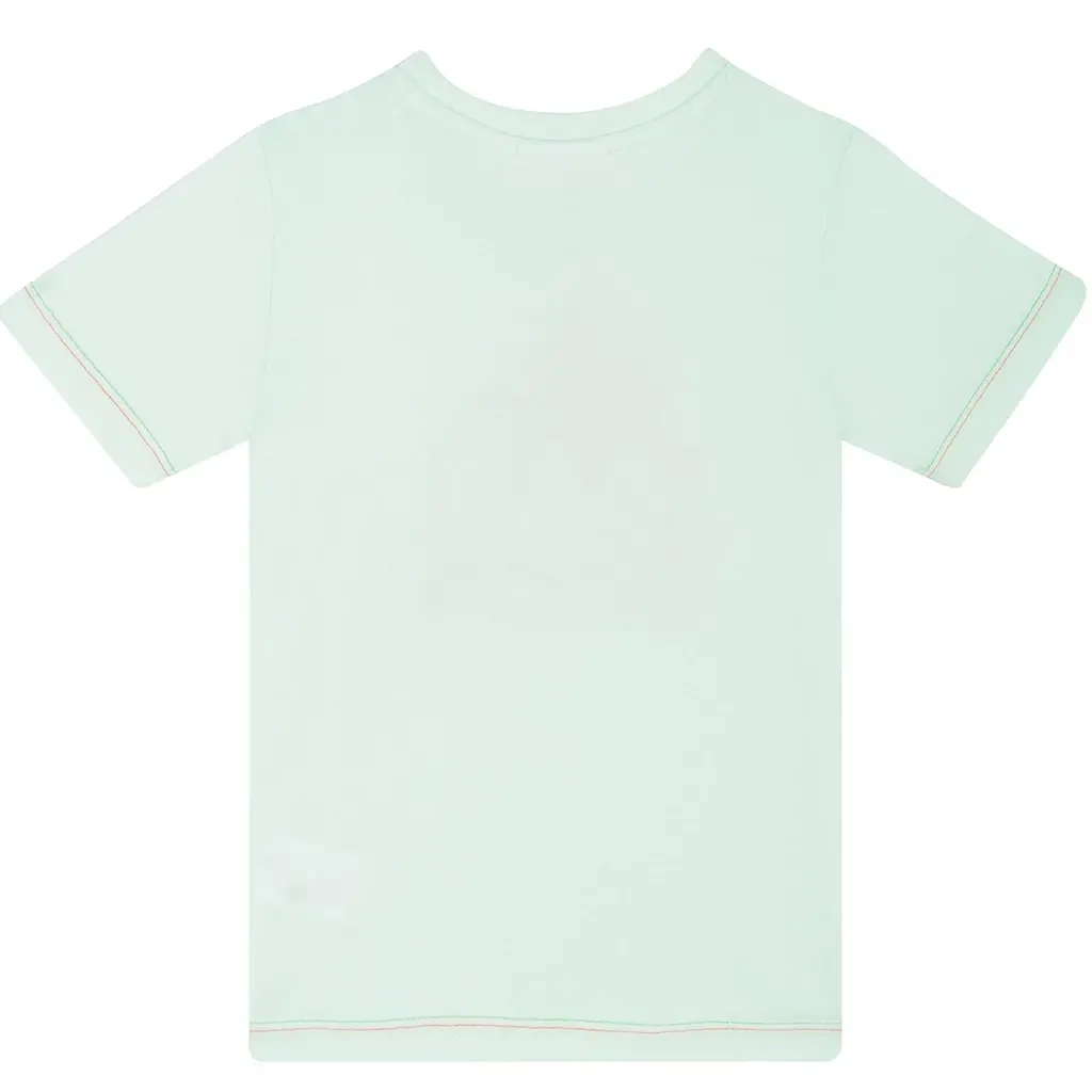 T-shirt Aaron (light green)