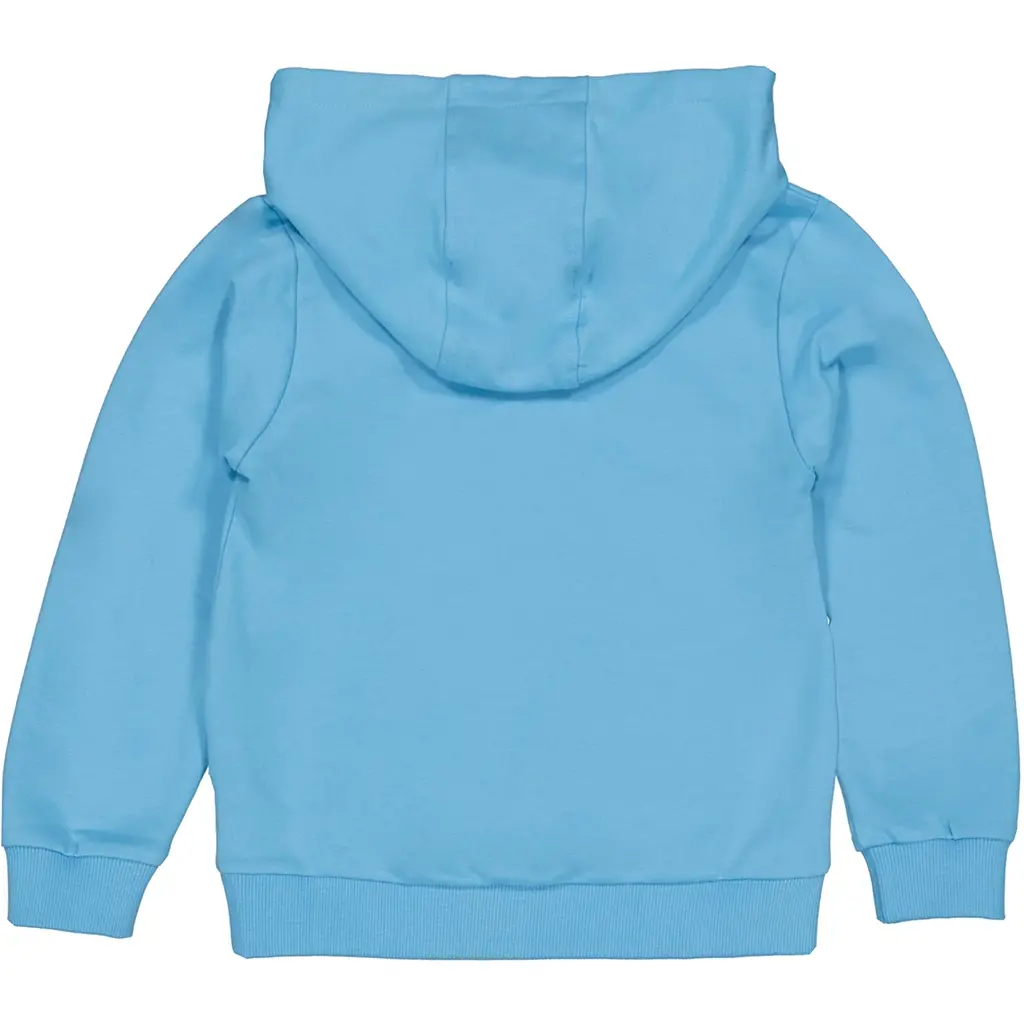 Trui hoodie Fero (light aqua)