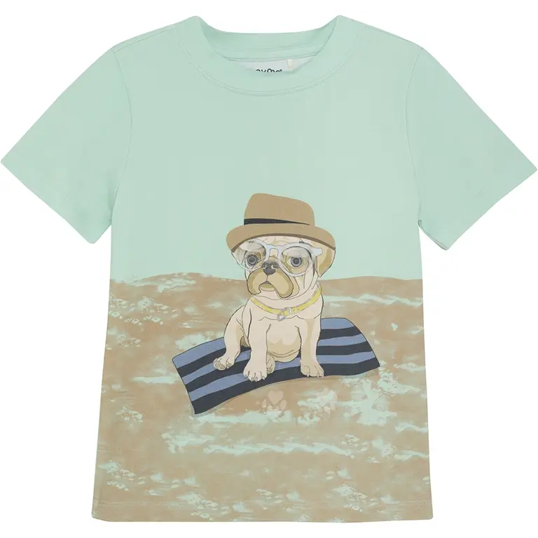 T-shirt  (yucca turquise)