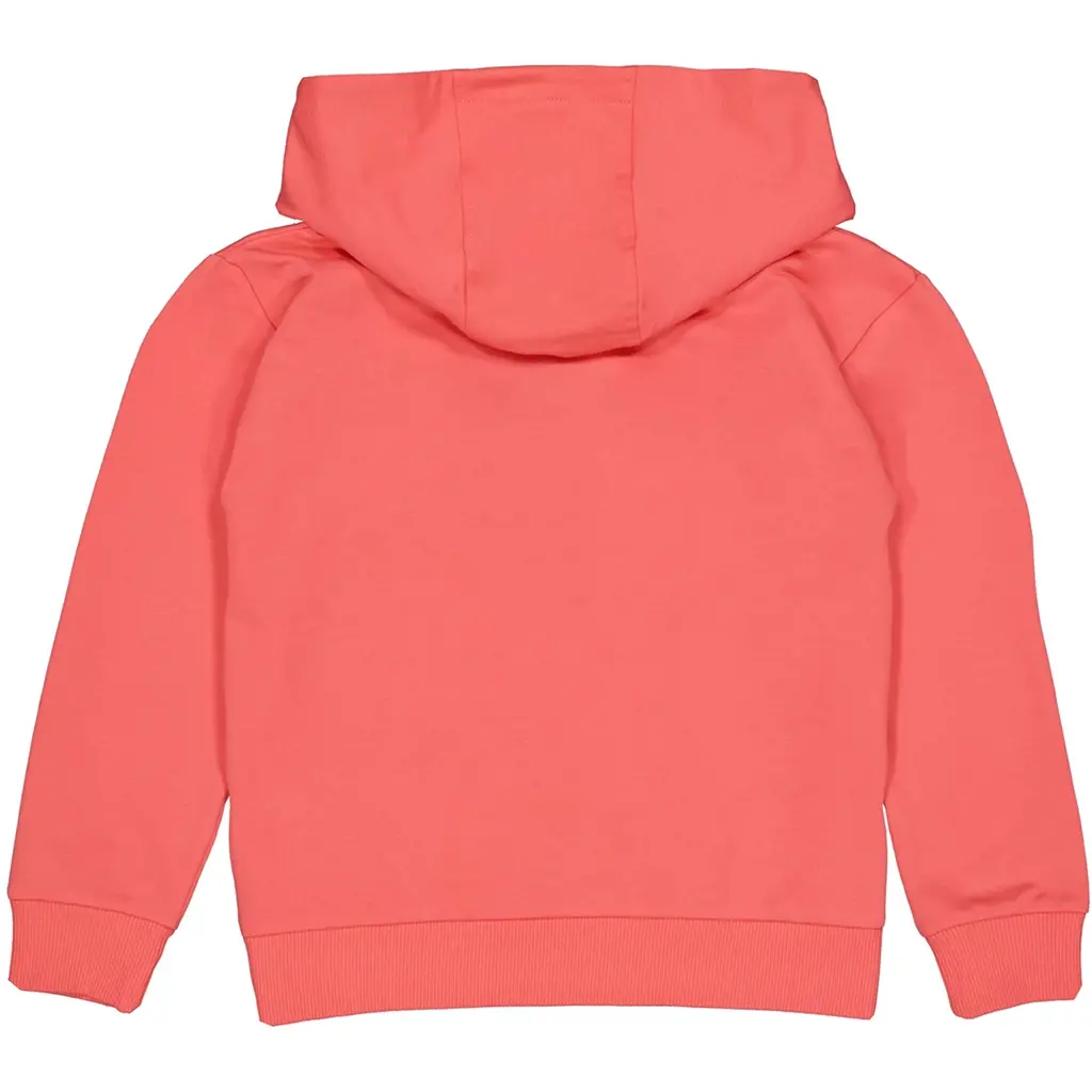 Trui hoodie Fince (vintage red)