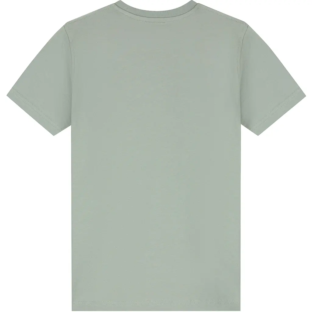 T-shirt pocket (agave green)