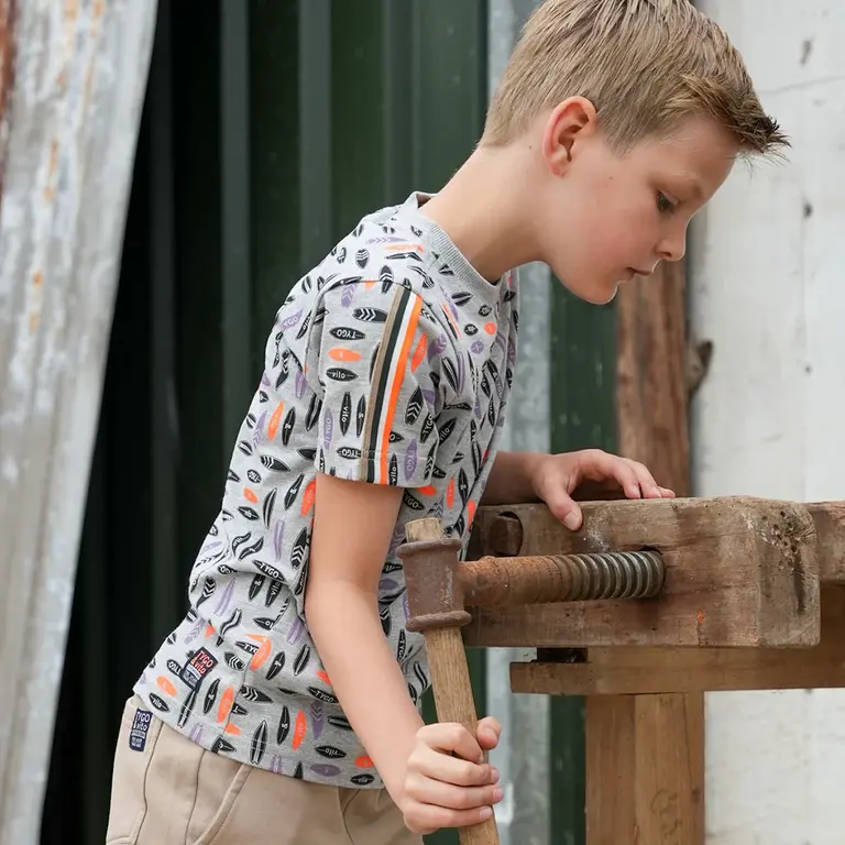 T-shirt Desmond (grey melee)