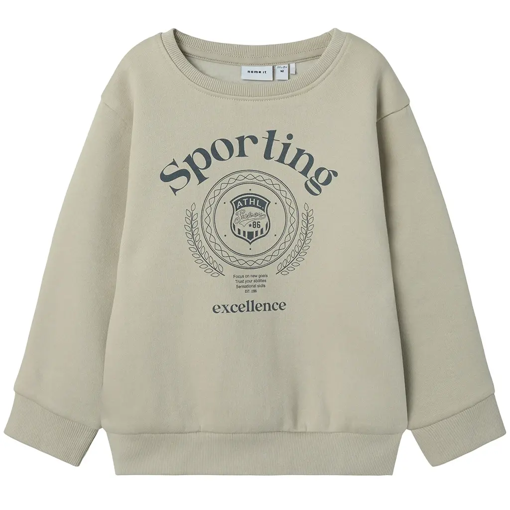 Trui sweat Drian (silver lining)