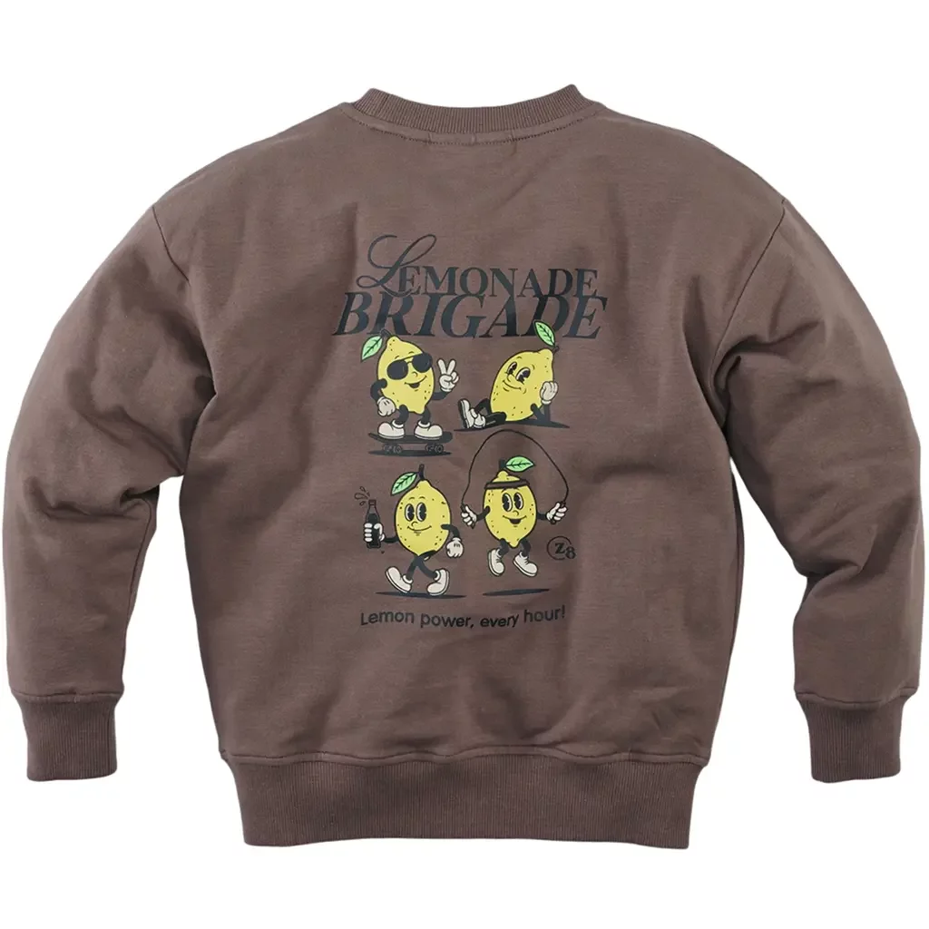 Trui sweater Marcelo (crazy coconut)