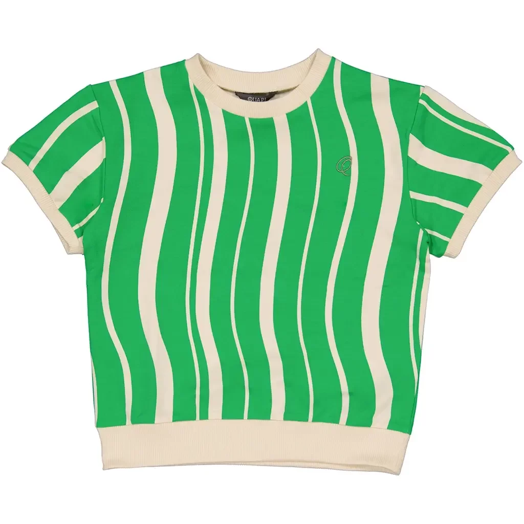 Shirt sweater Flint (green graphic)