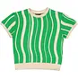 Quapi Shirt sweater Flint (green graphic)