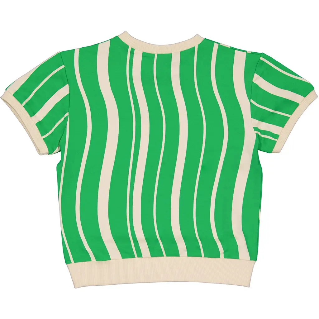 Shirt sweater Flint (green graphic)