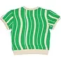 Quapi Shirt sweater Flint (green graphic)