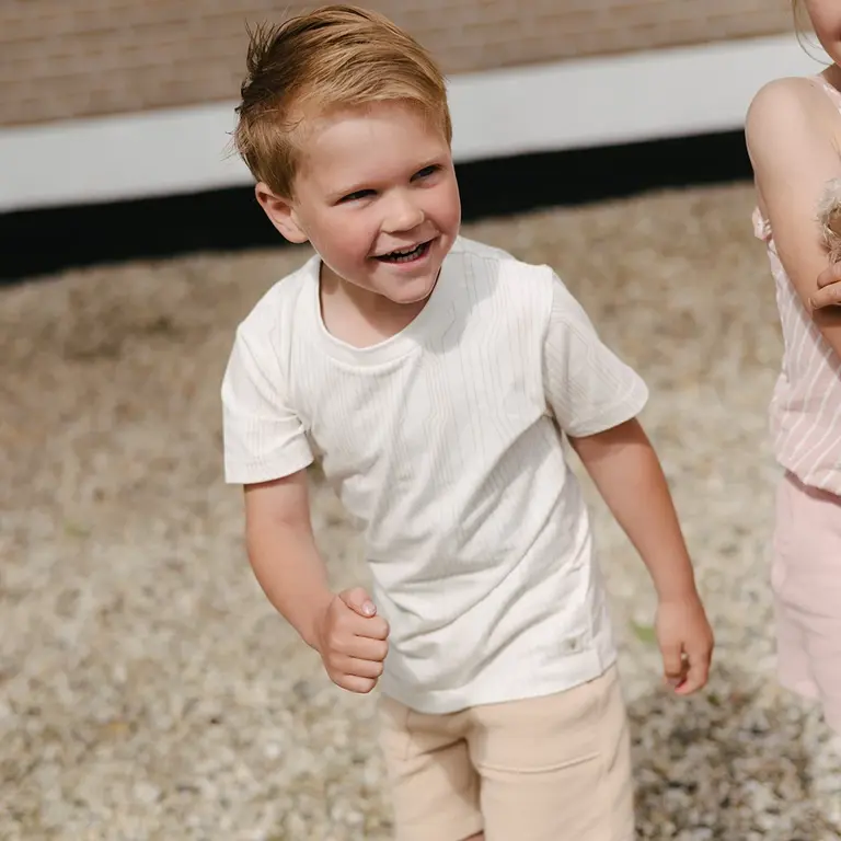 T-shirt Sean (aop taupe lines)