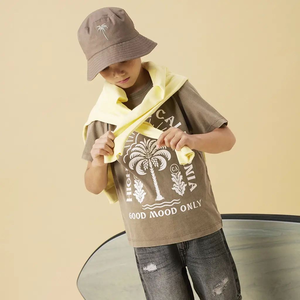 T-shirt Jarvu (walnut)