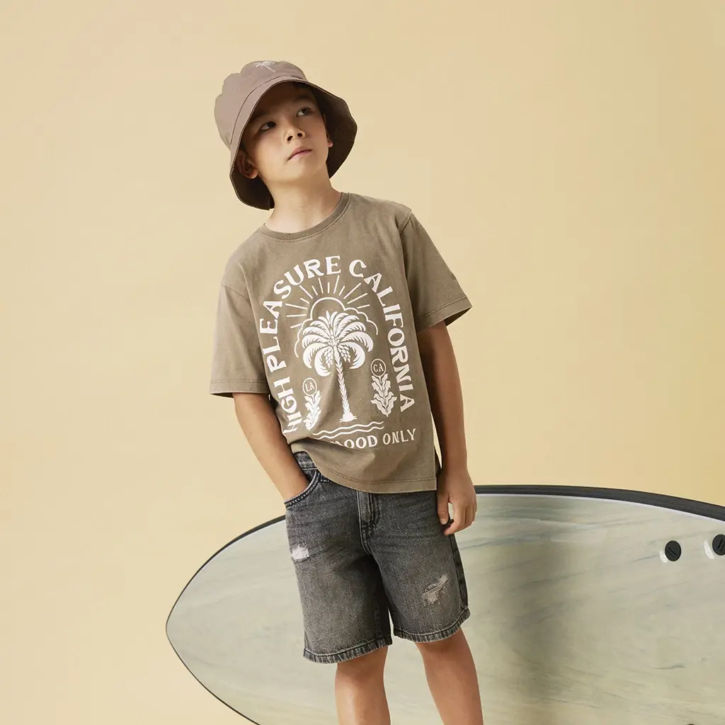 T-shirt Jarvu (walnut)