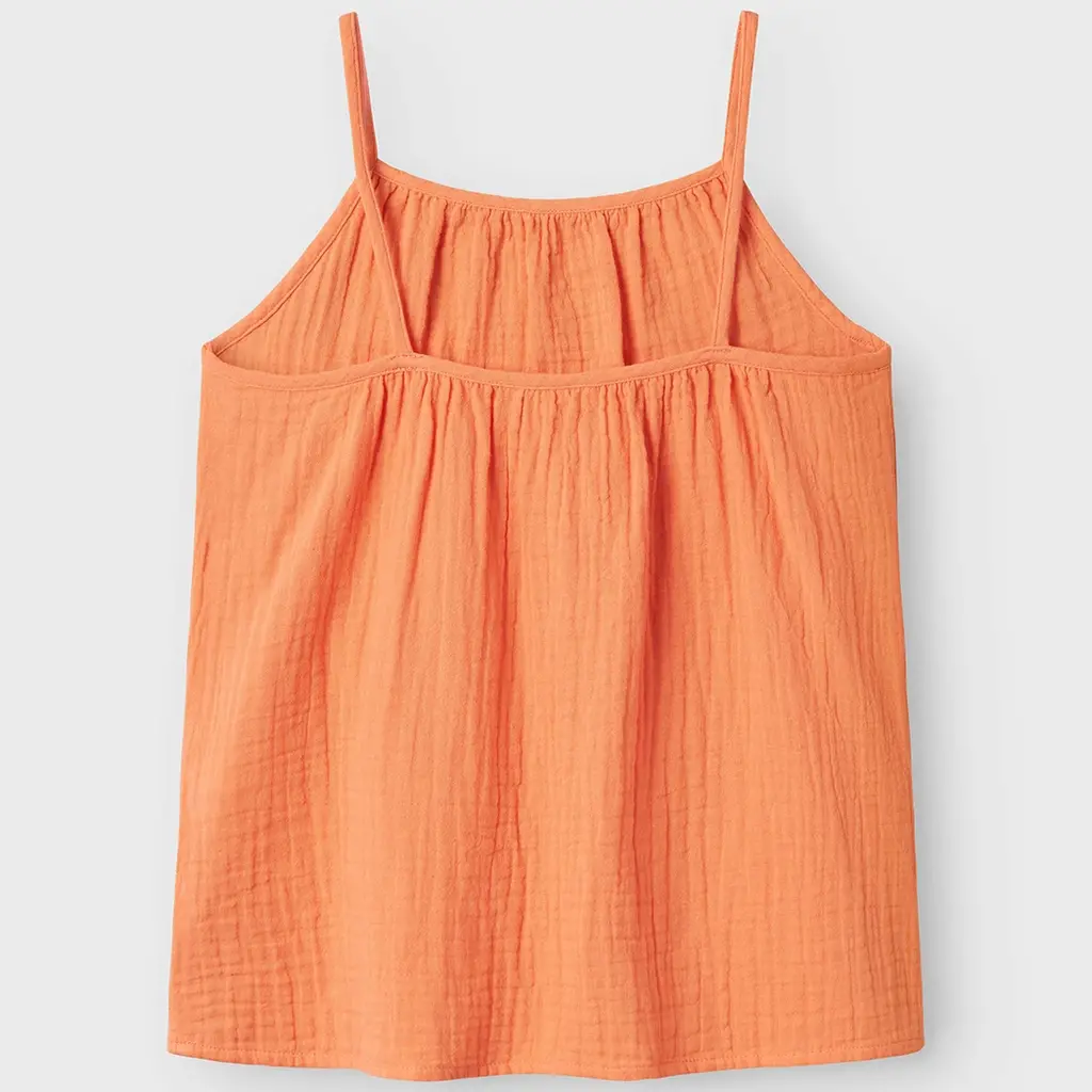 Topje Hisa (fresh salmon)