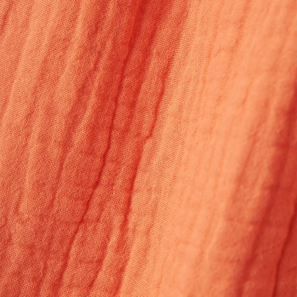 Topje Hisa (fresh salmon)