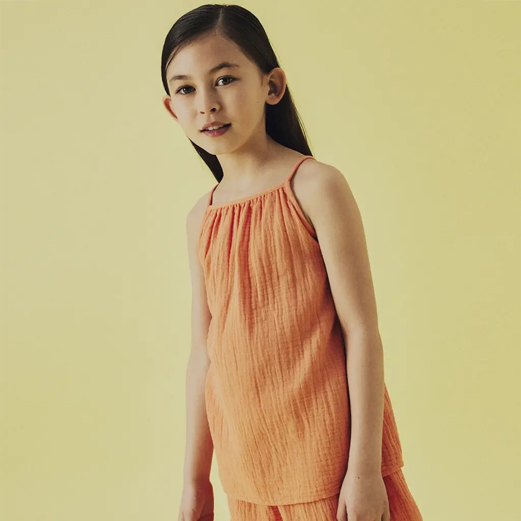 Topje Hisa (fresh salmon)