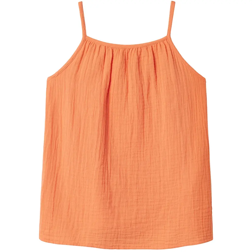 Topje Hisa (fresh salmon)