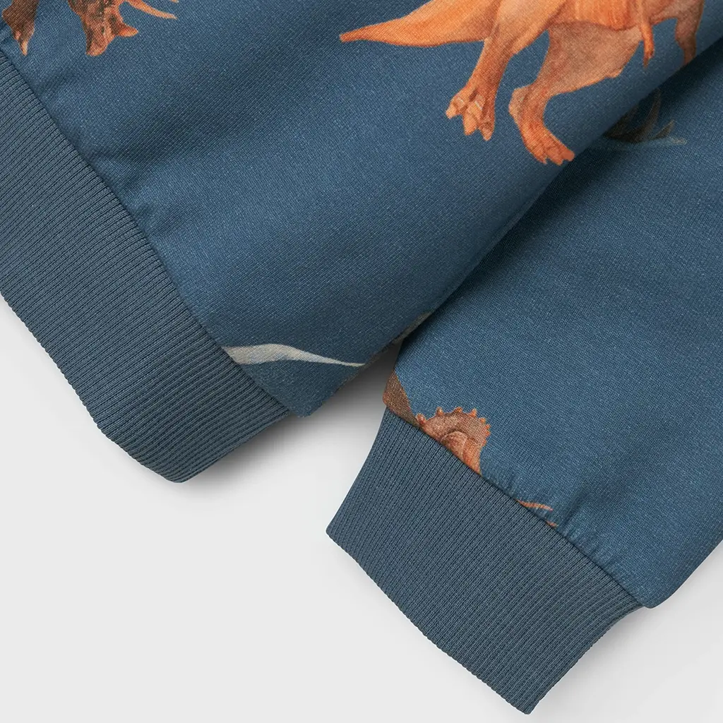 Trui sweat Pnodino (cornet blue)