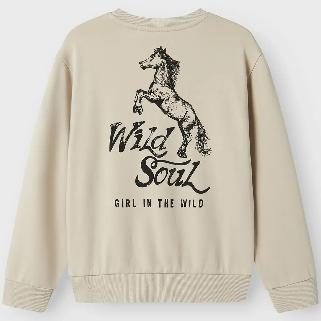 Trui sweat Kassia (peyote)