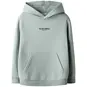 Name It Trui sweat hoodie Brody (jadeite)