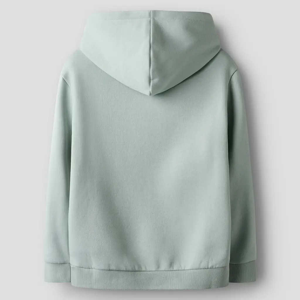 Trui sweat hoodie Brody (jadeite)